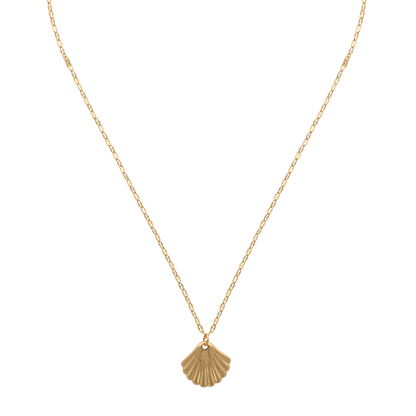 Solena ketting – Shell Halo