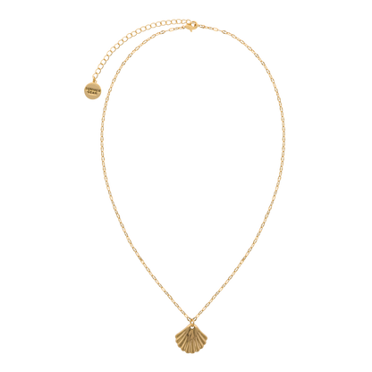 Solena ketting – Shell Halo