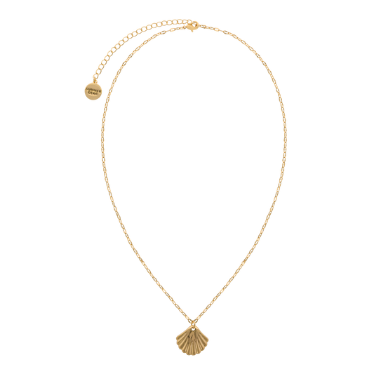 Solena ketting – Shell Halo