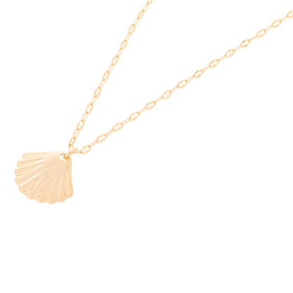 Solena ketting – Shell Halo