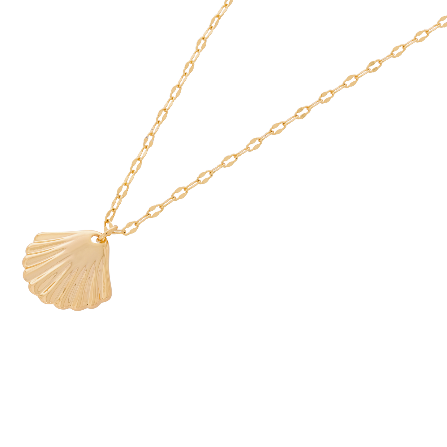 Solena ketting – Shell Halo